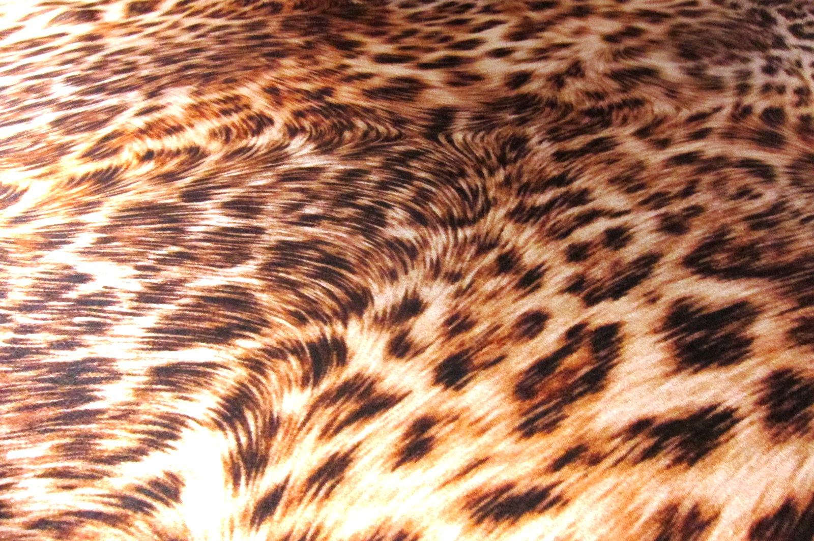 Printed Silk Charmeuse2