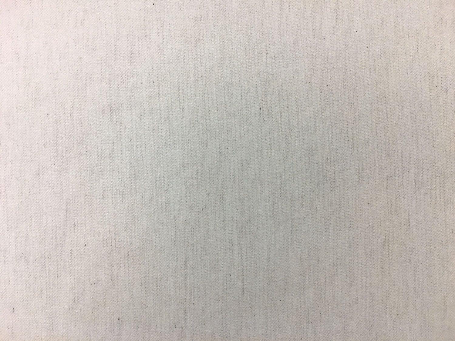 Cotton Flannel Twill in Ivory0
