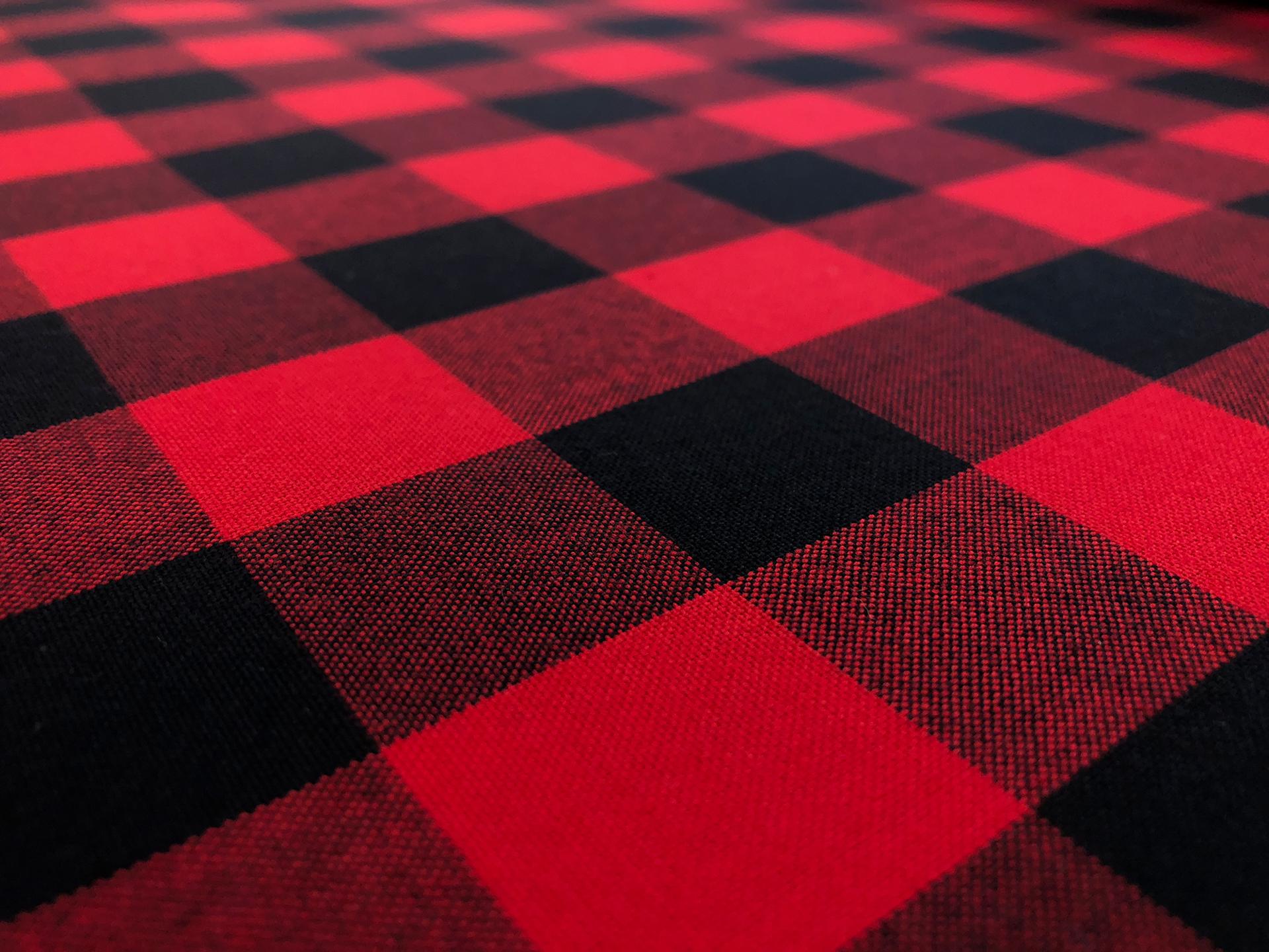 1" Carolina Cotton Gingham in Scarlet2