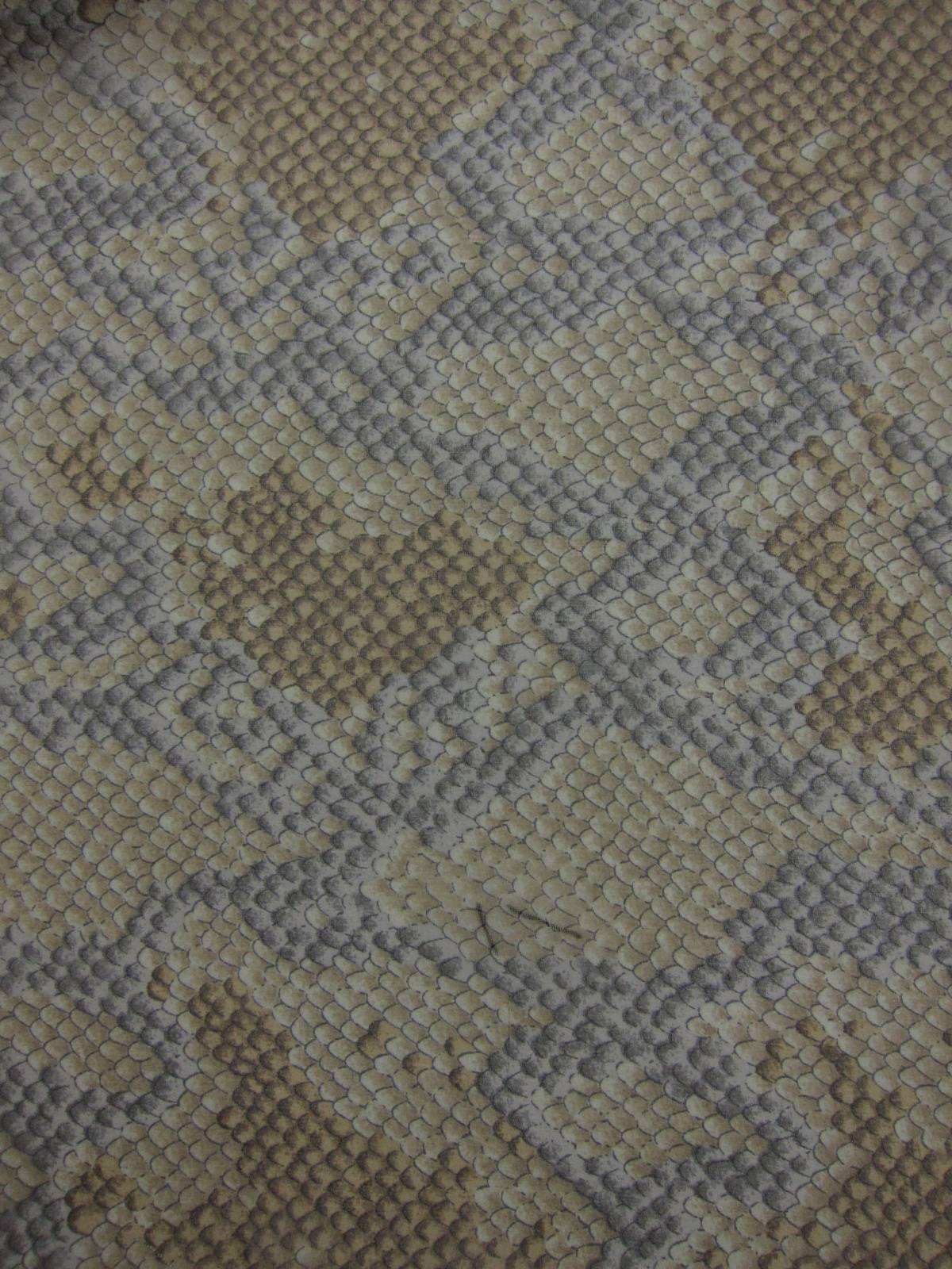 Printed Silk Chiffon0