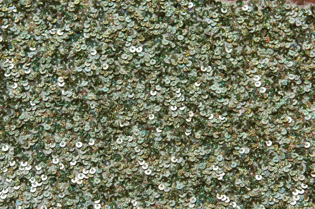 Sequins on Silk Chiffon0