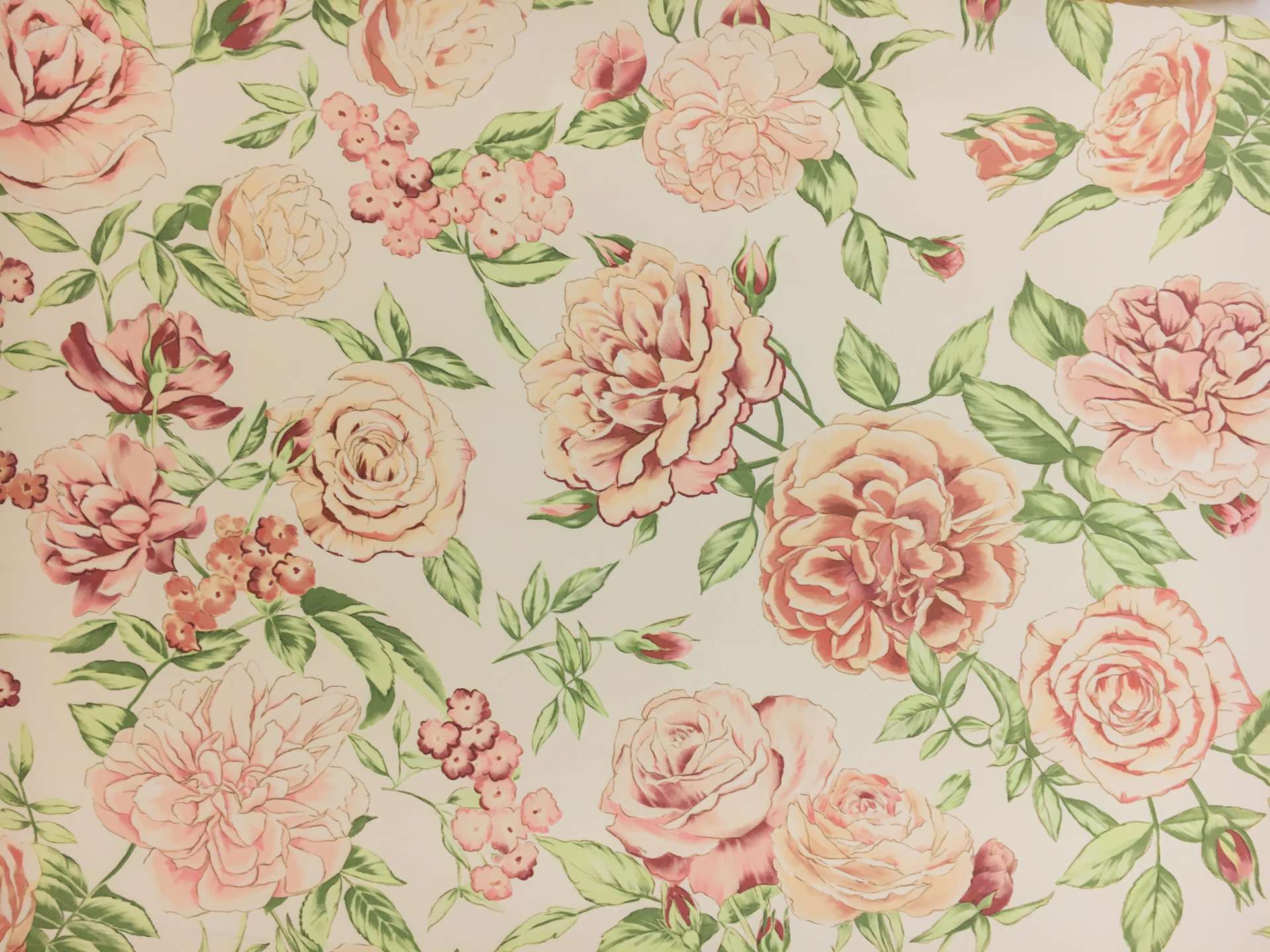 Printed Silk Canvas with Large Roses0