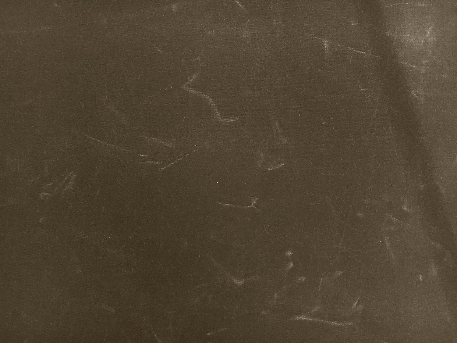 Cotton Wax Cloth in Olive1