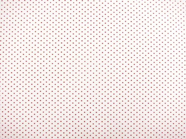 Japanese Cotton Broadcloth Print0