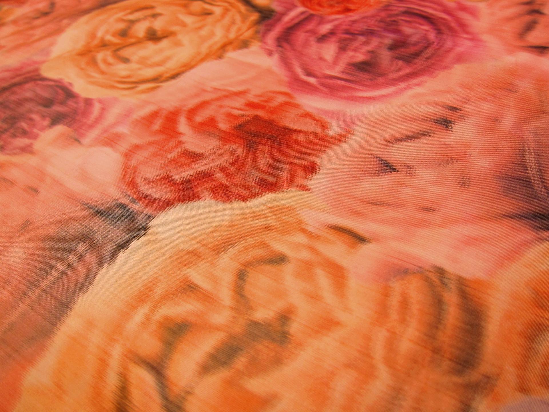 Warp Printed Taffeta2