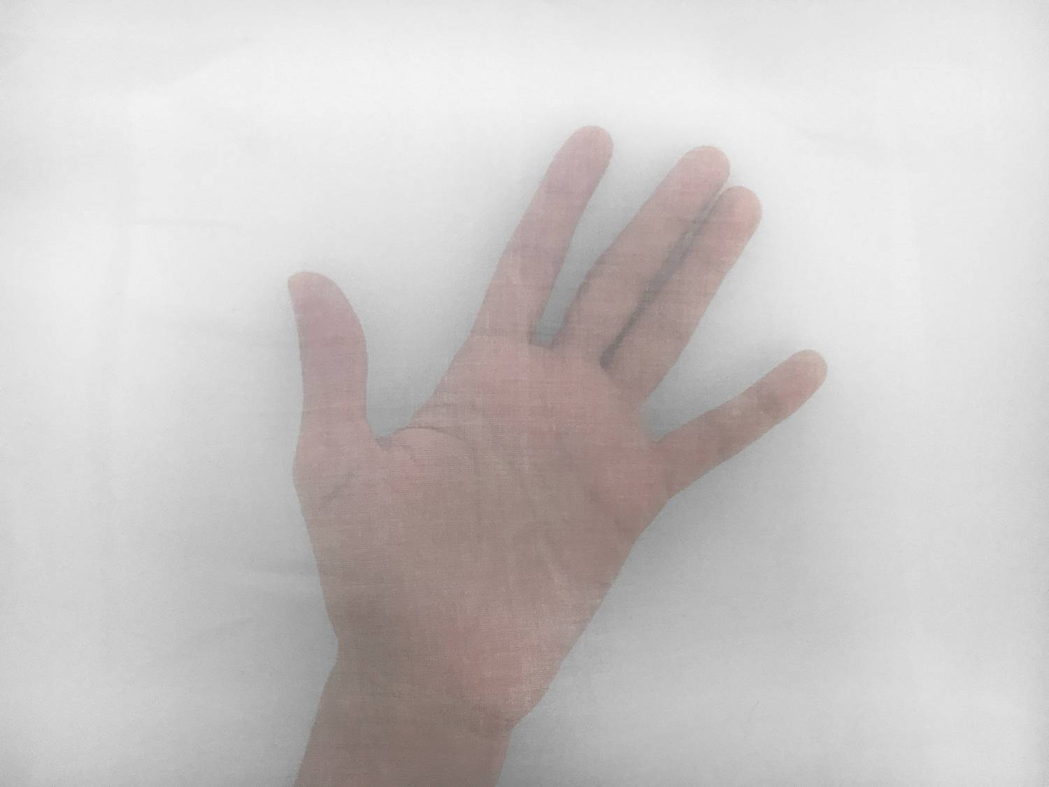 Italian Cotton Organdy in White1