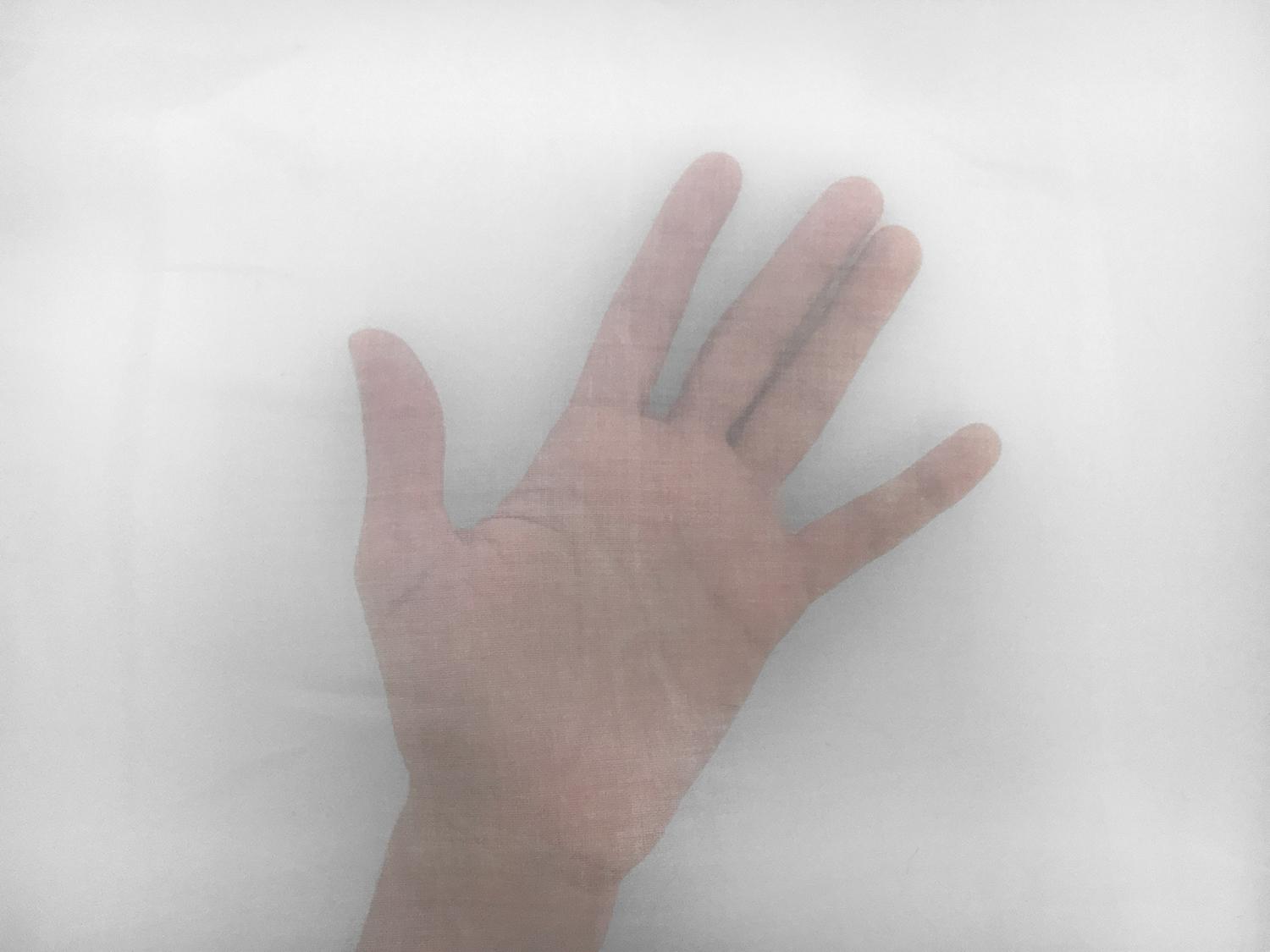 Italian Cotton Organdy in White1