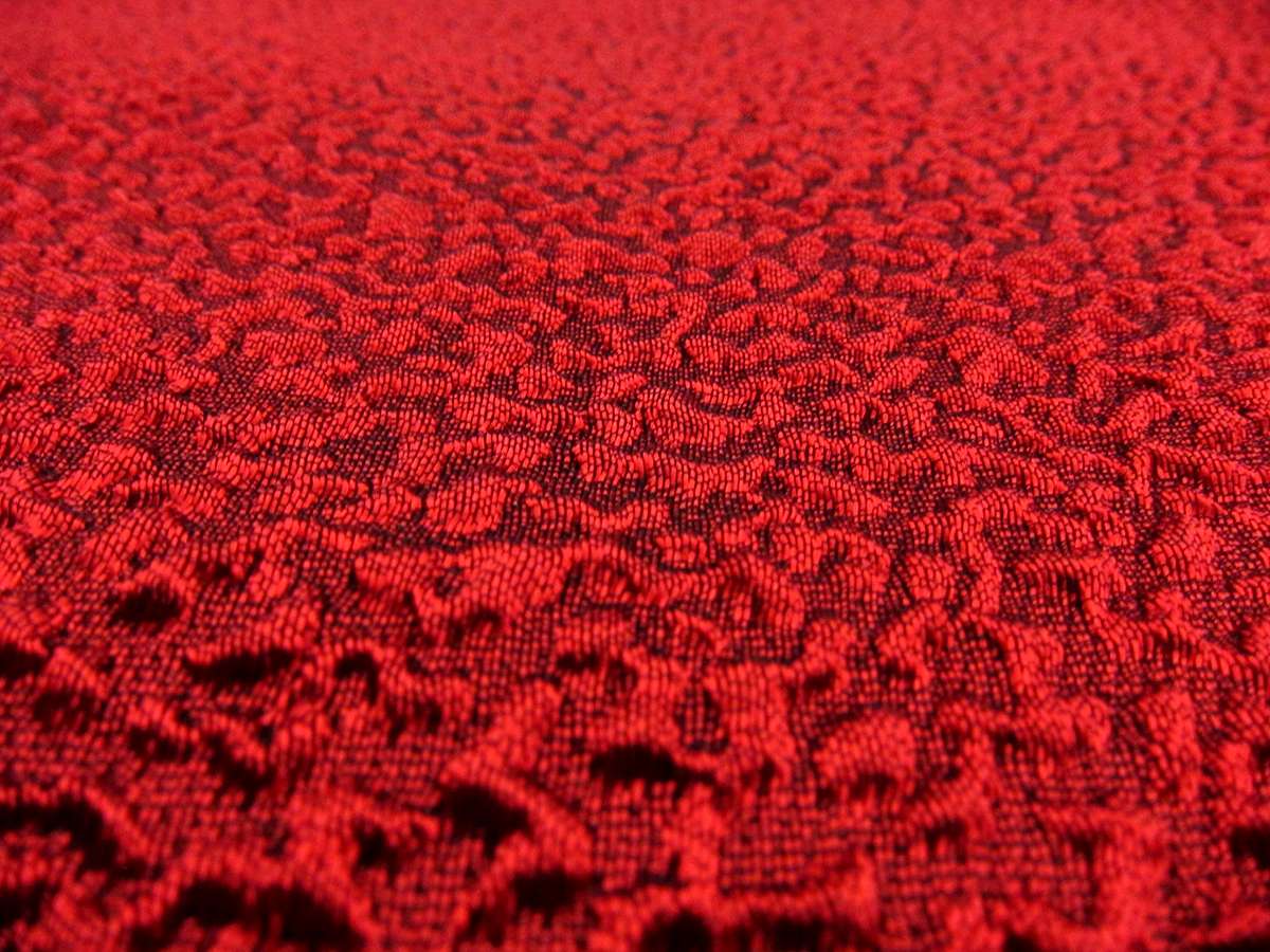 Silk Blend Organza Cloqué