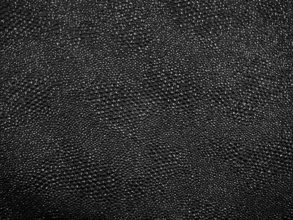 Metallic Brocade1