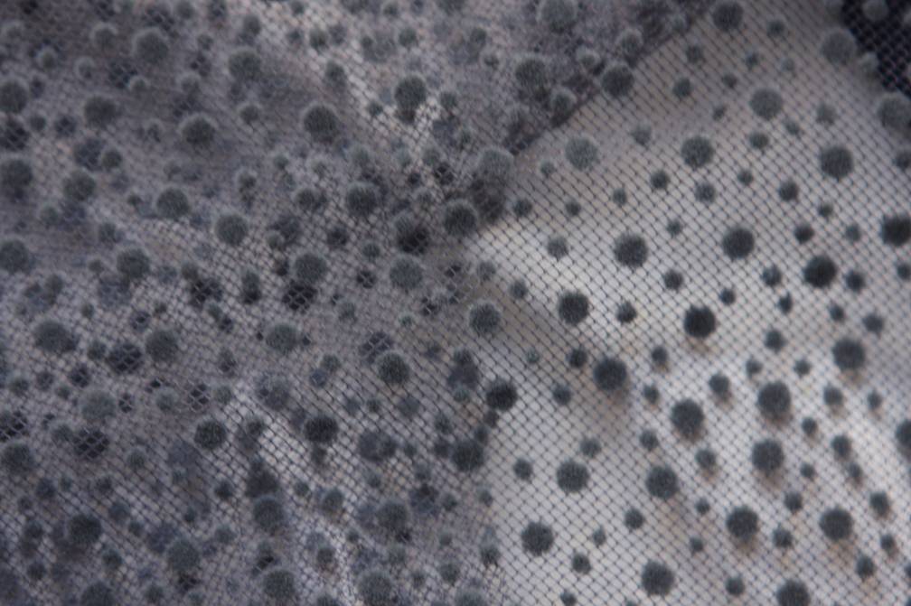 Flocking on Tulle3