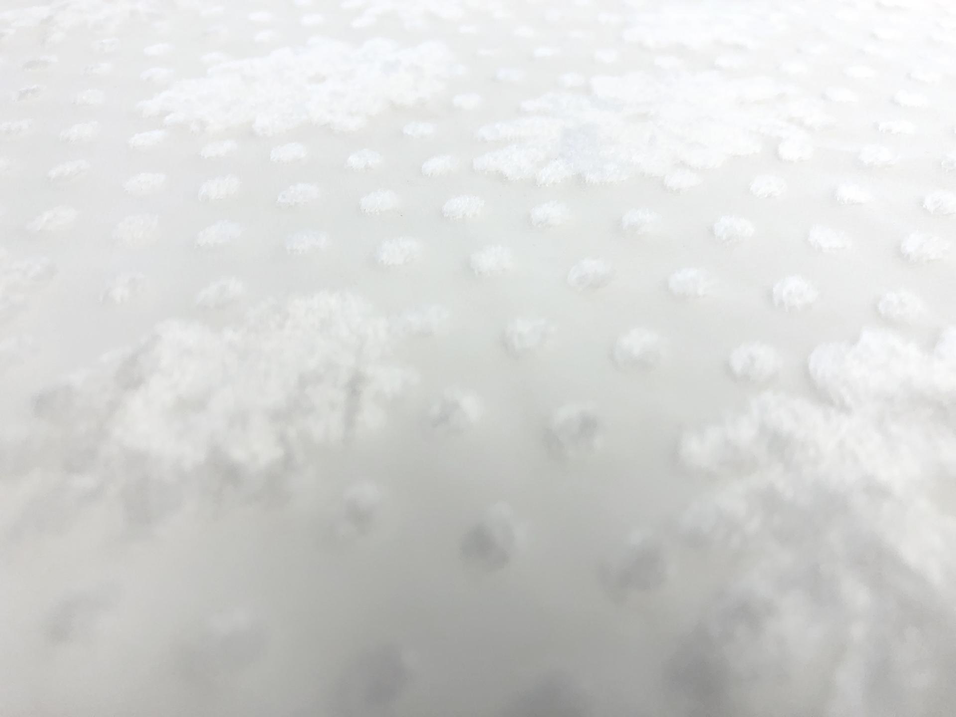 Dotted Floral White Burnout Velvet2