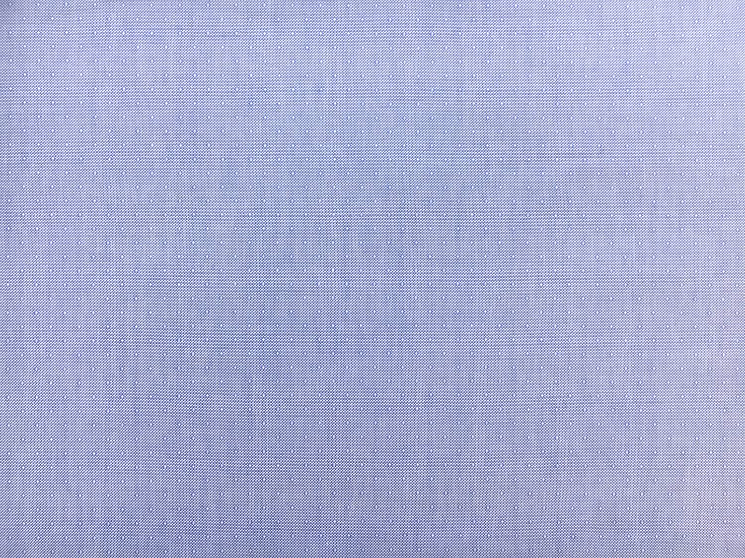 Cotton Oxford Dobby Shirting in Blue0