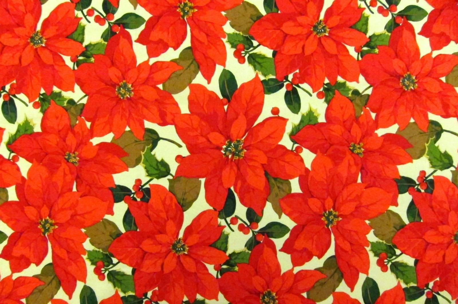 Cotton Broadcloth Print0
