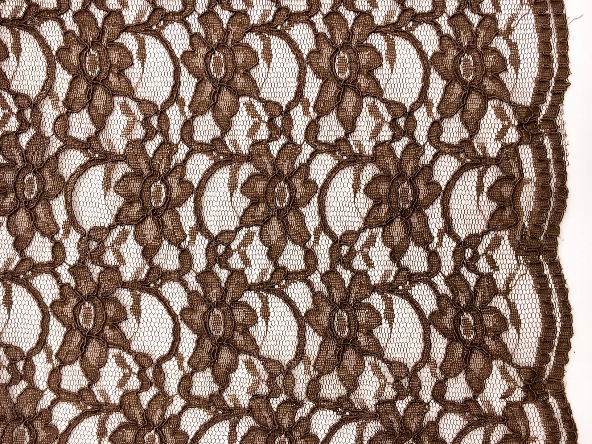 Xanna Embroidered Cotton and Nylon Lace0