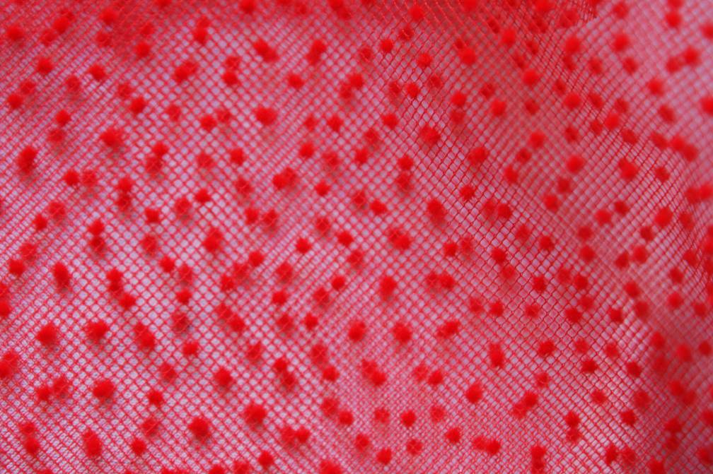Flocking on Tulle3