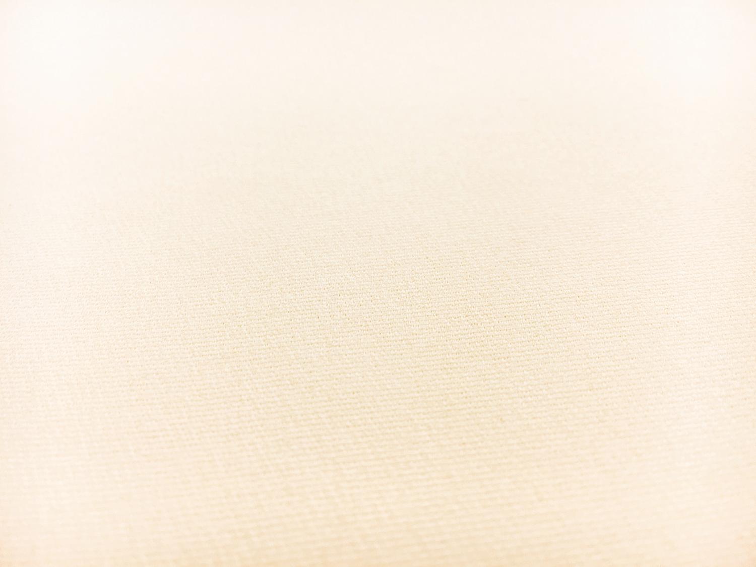 Italian Silk Marocain Crepe in Ivory1