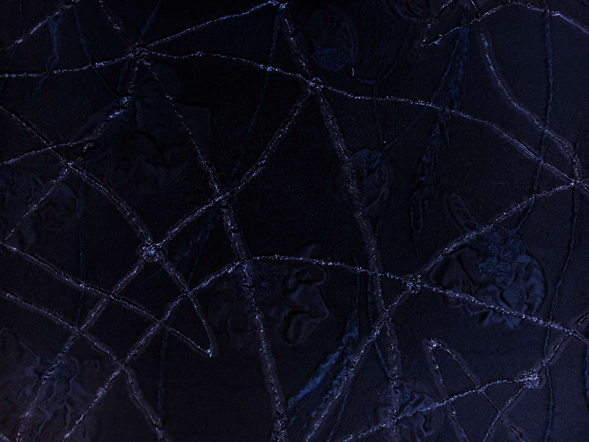Silk Blend Metallic Organza with Abstract Lines and Floral Motifs0