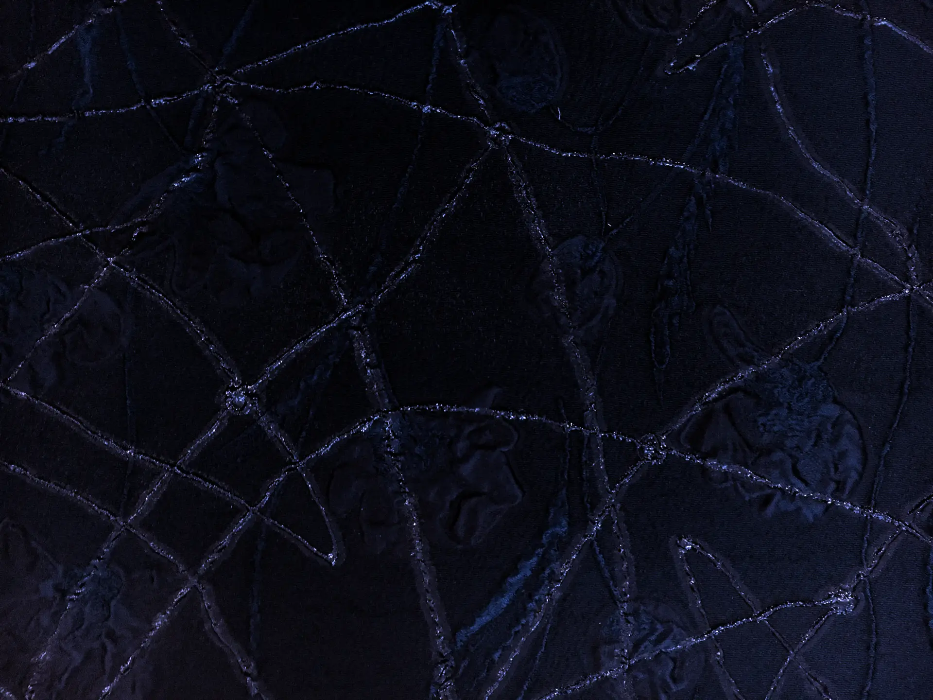 Silk Blend Metallic Organza with Abstract Lines and Floral Motifs0