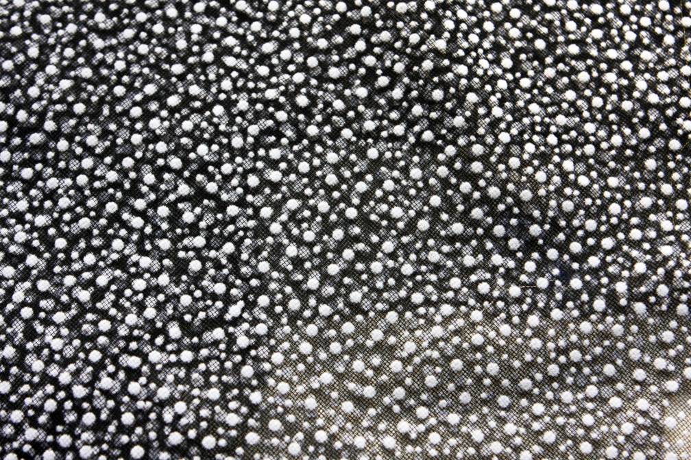 Flocking on Tulle2