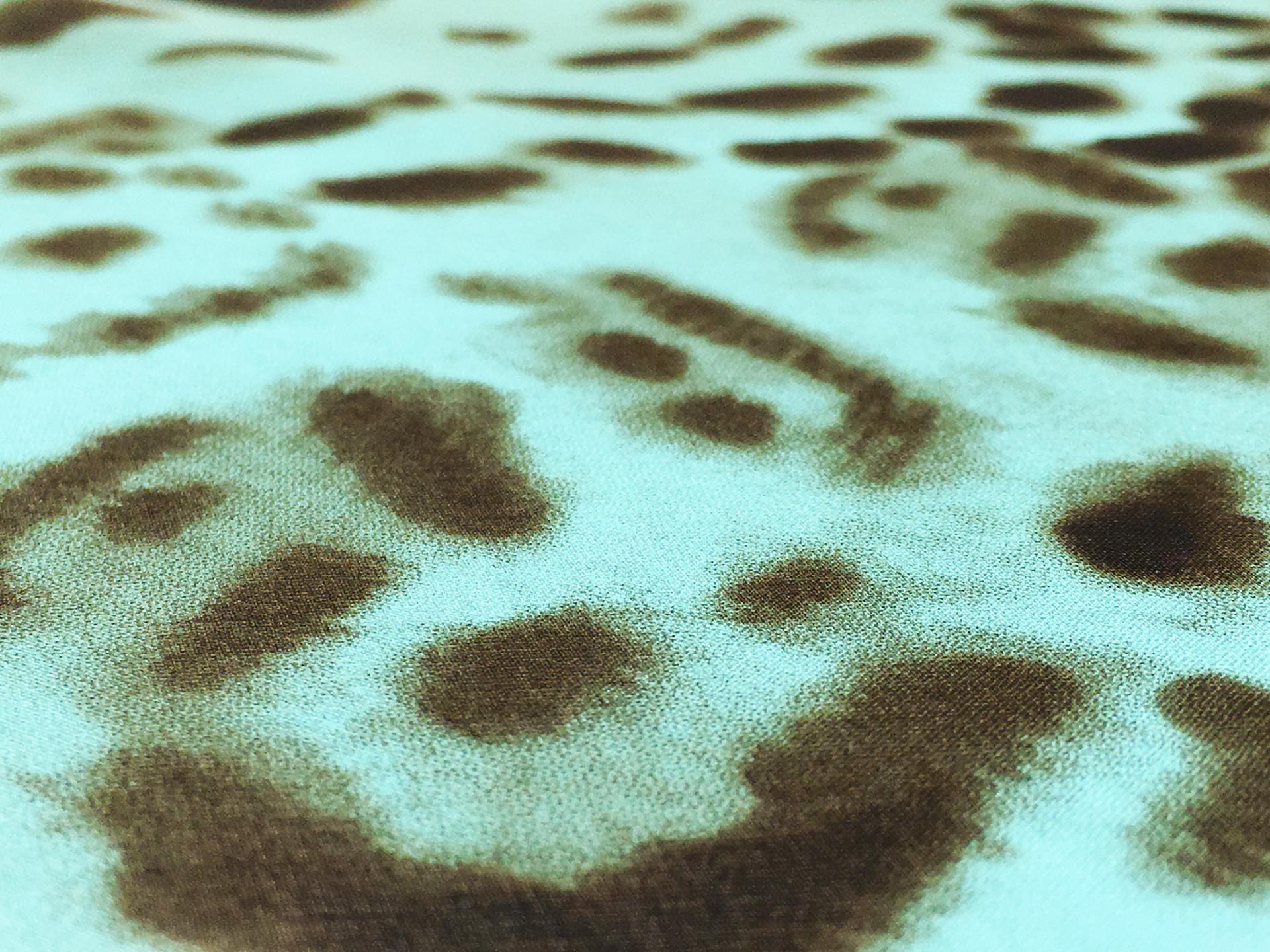 Printed Silk Chiffon2