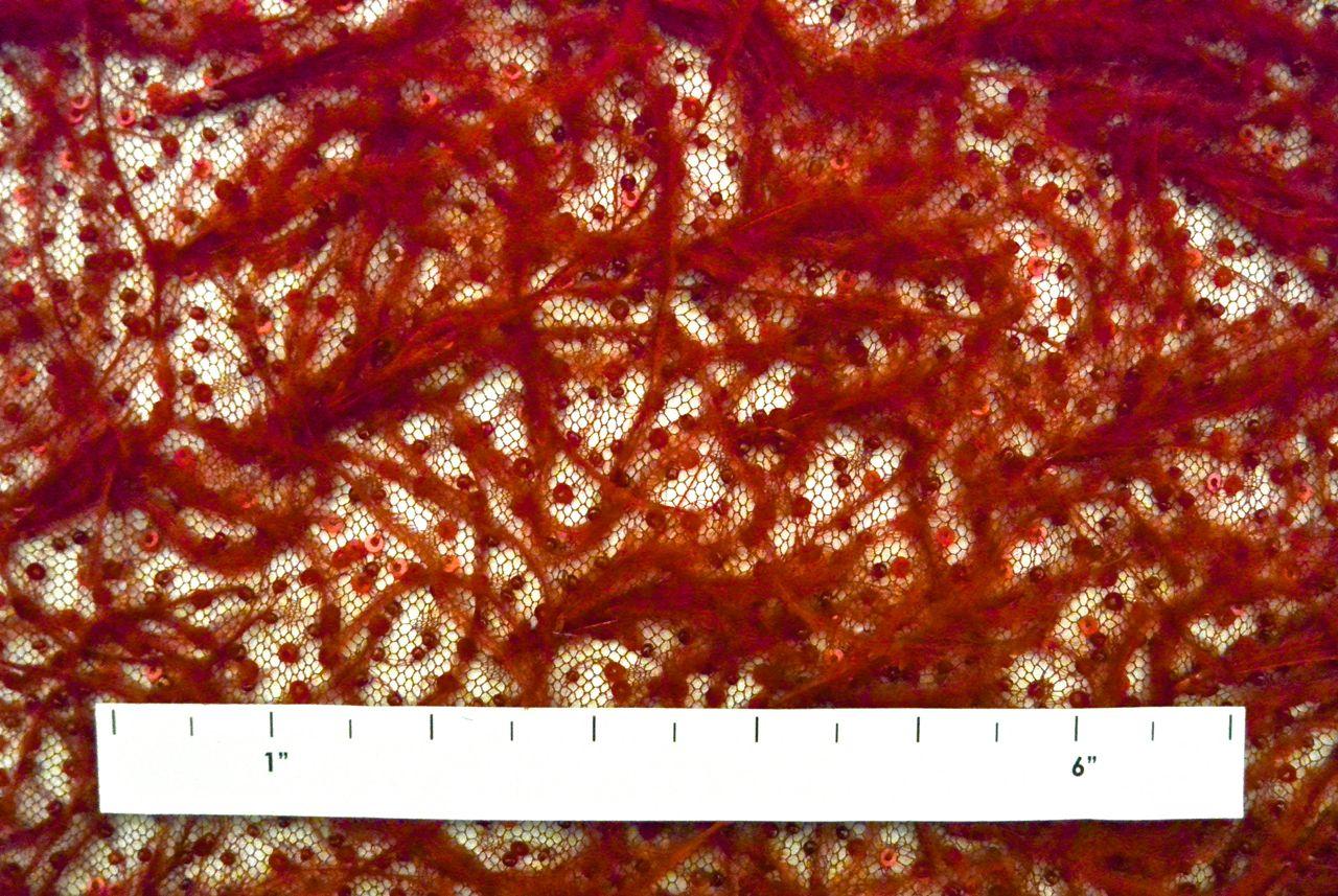 Hand Beaded Illusion With Ostrich Feather Border1