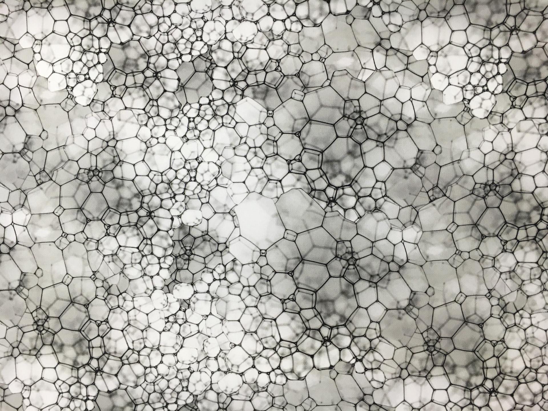 Printed Silk Gazar with Abstract Bubble Geometric Print0