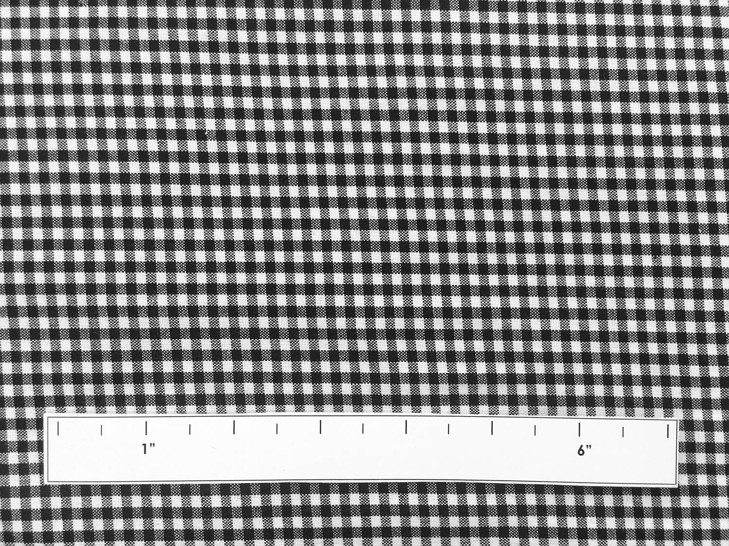 Carolina Cotton Gingham in Black1