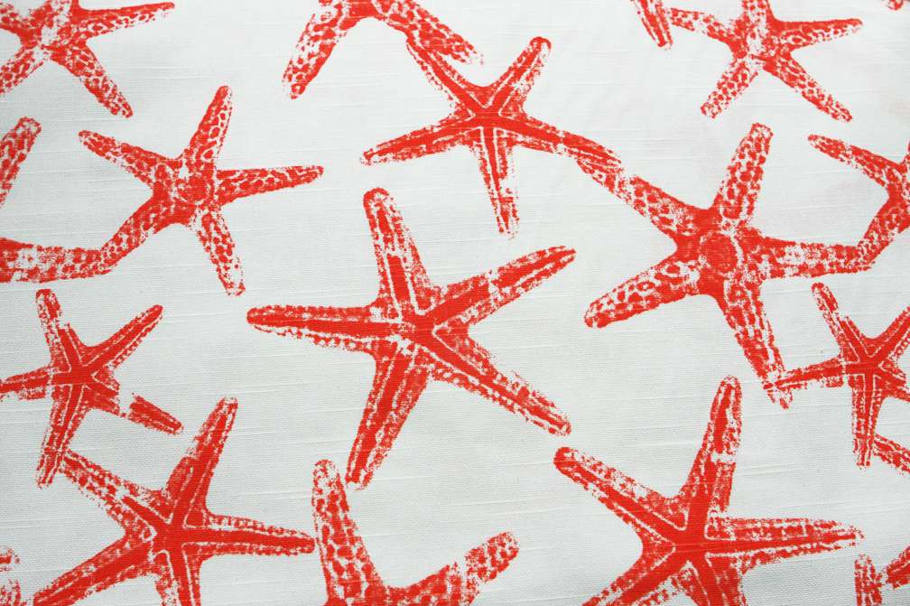 Cotton Canvas Starfish Print0