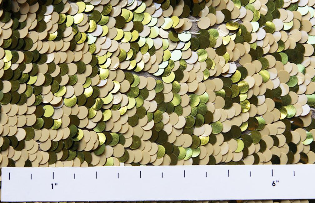 Paillettes on Silk Chiffon2