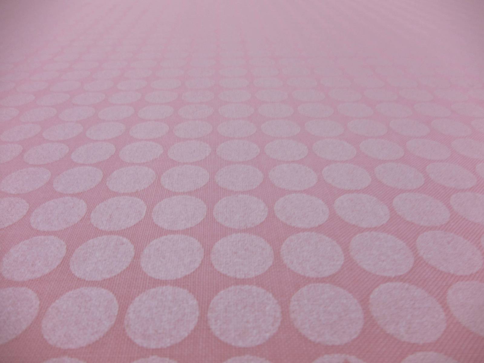 Cotton Broadcloth Print2