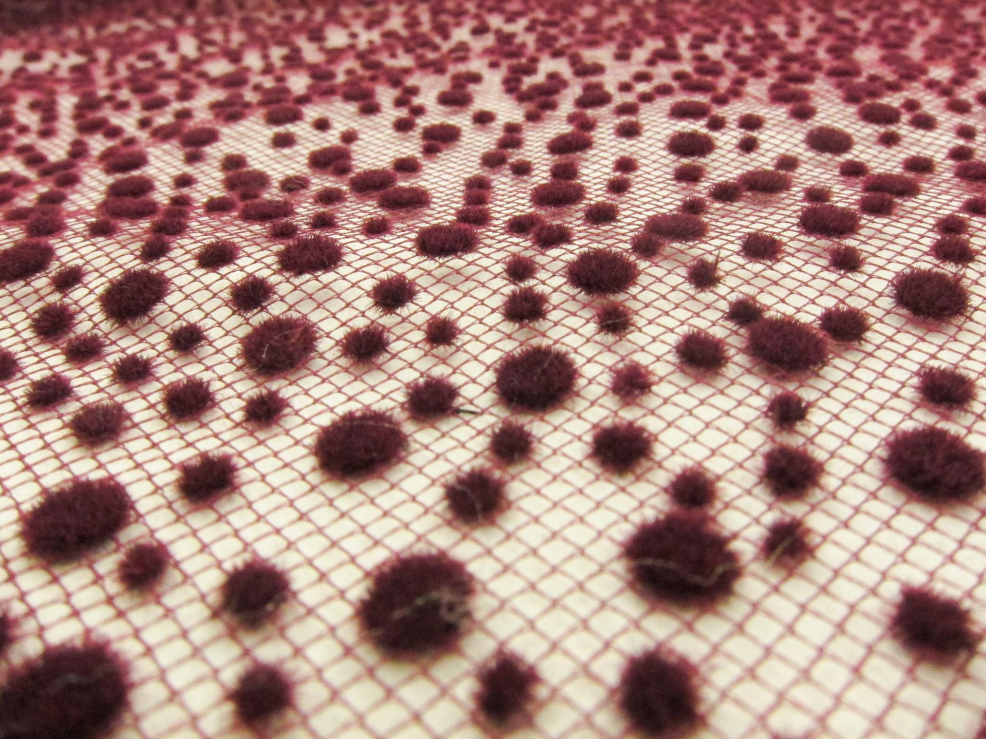 Flocking on Tulle0