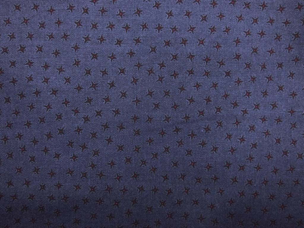 Cotton Broadcloth Print0