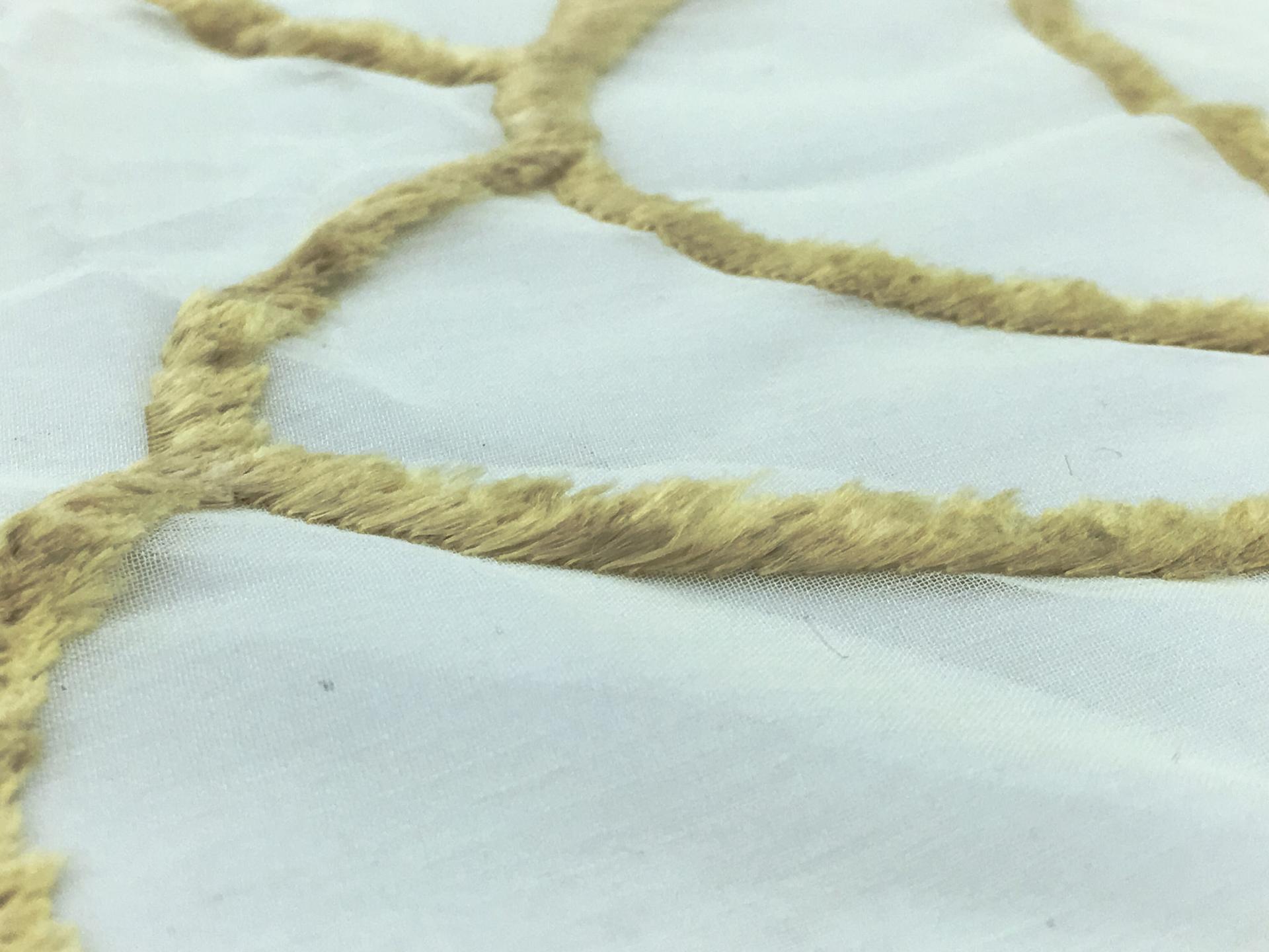 Burnout Velvet on Silk Chiffon (Mint Chiffon)2