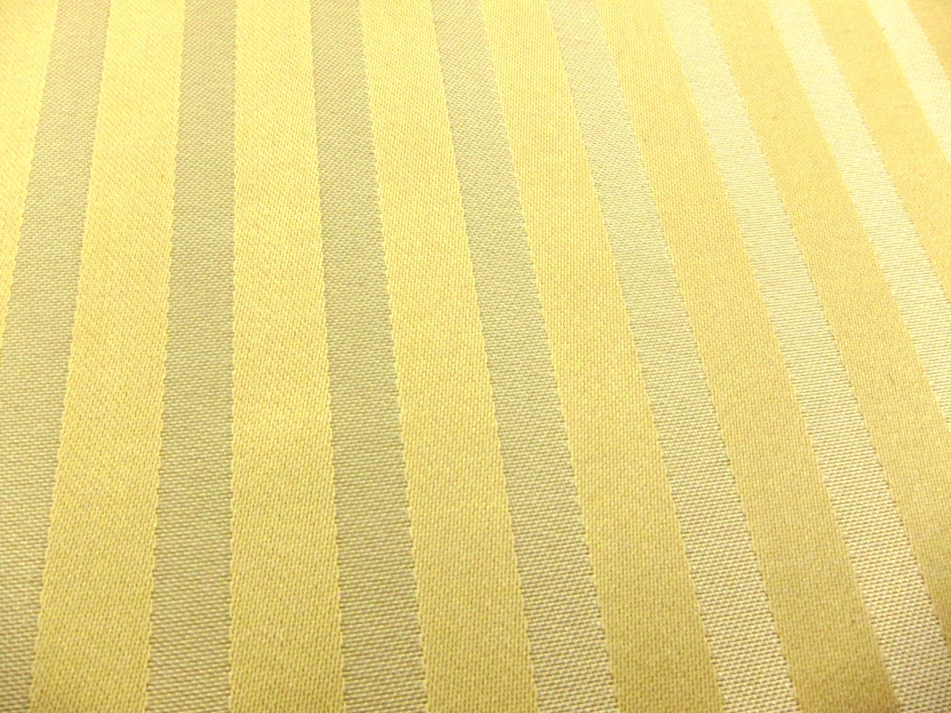 Silk Stripe Brocade2