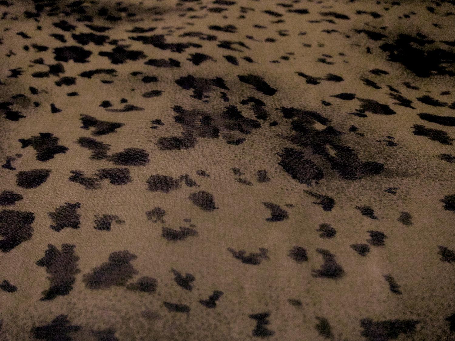 Printed Silk Chiffon2