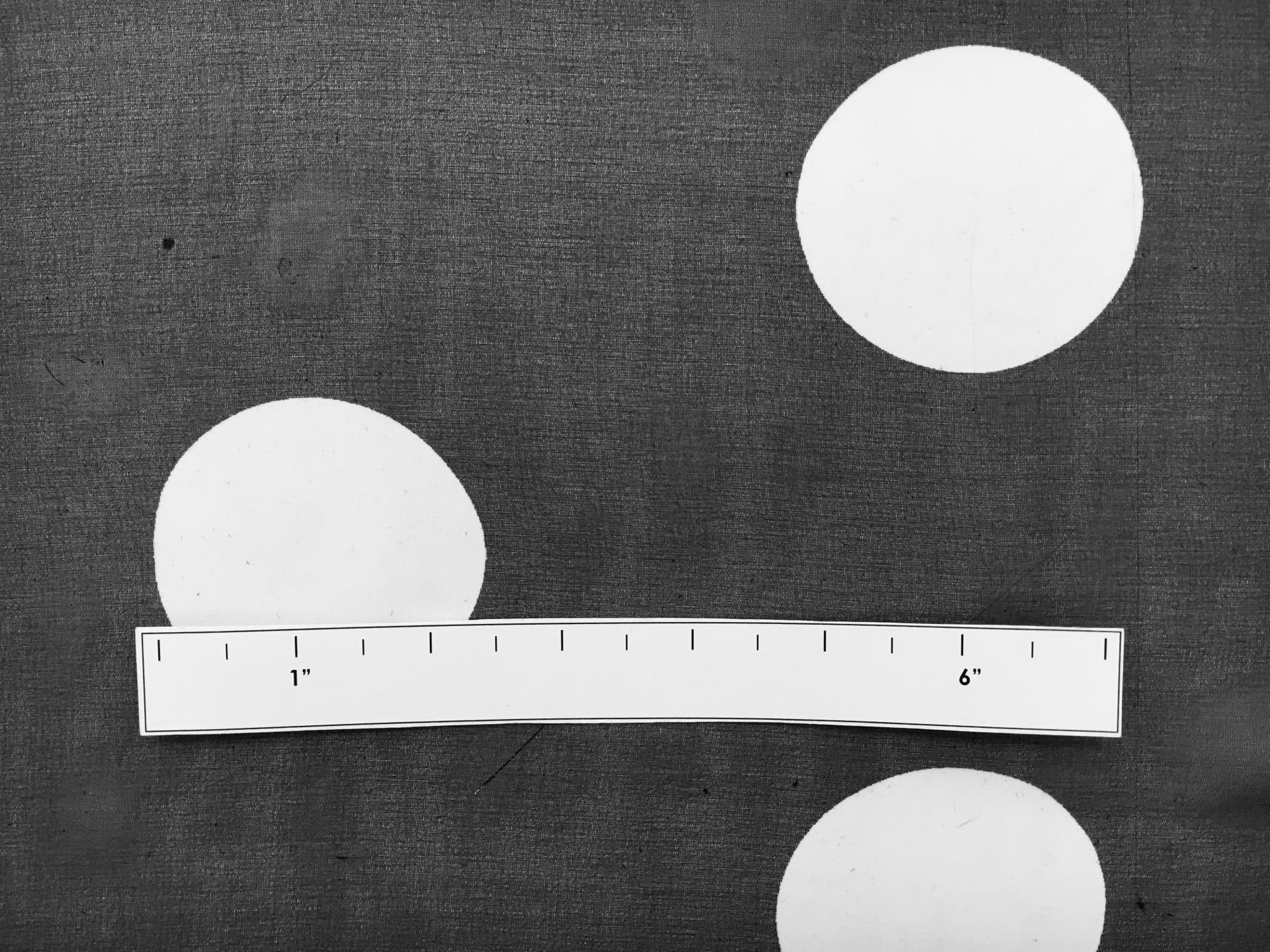 Printed Silk Chiffon with Polka Dots1