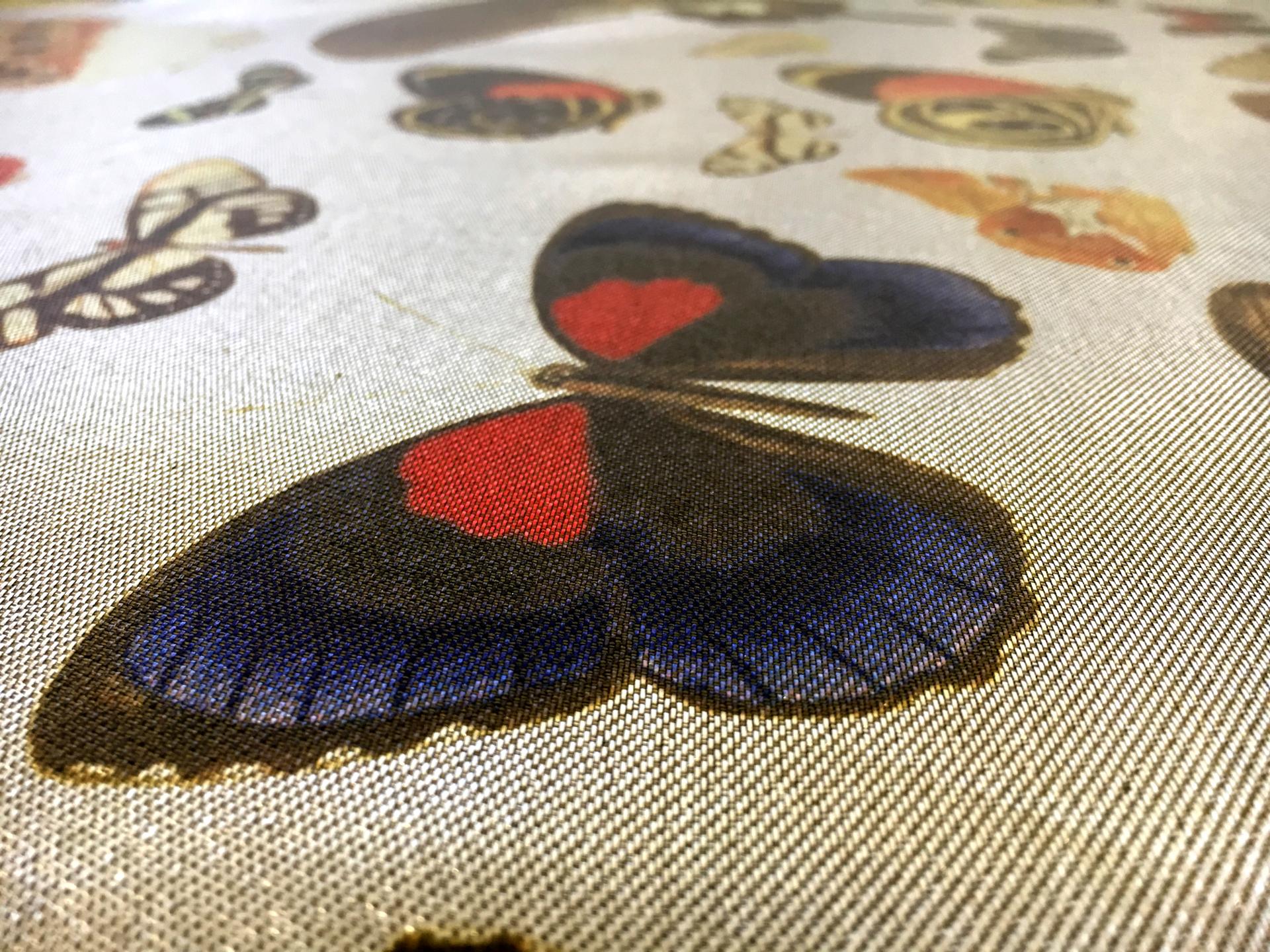 Printed Silk and Poly Blend Crepe Lamé with Various Butterflies2