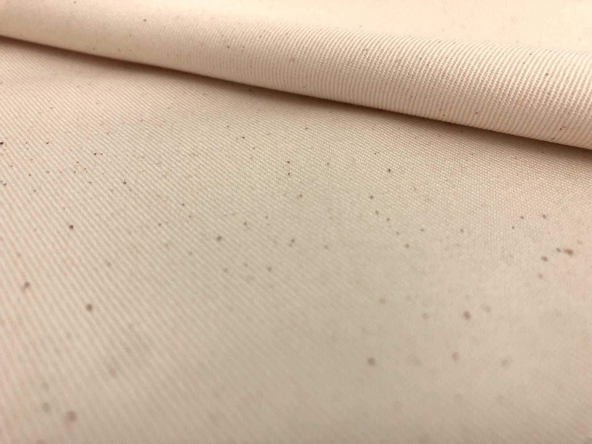 Cotton Chino Twill in Natural 0