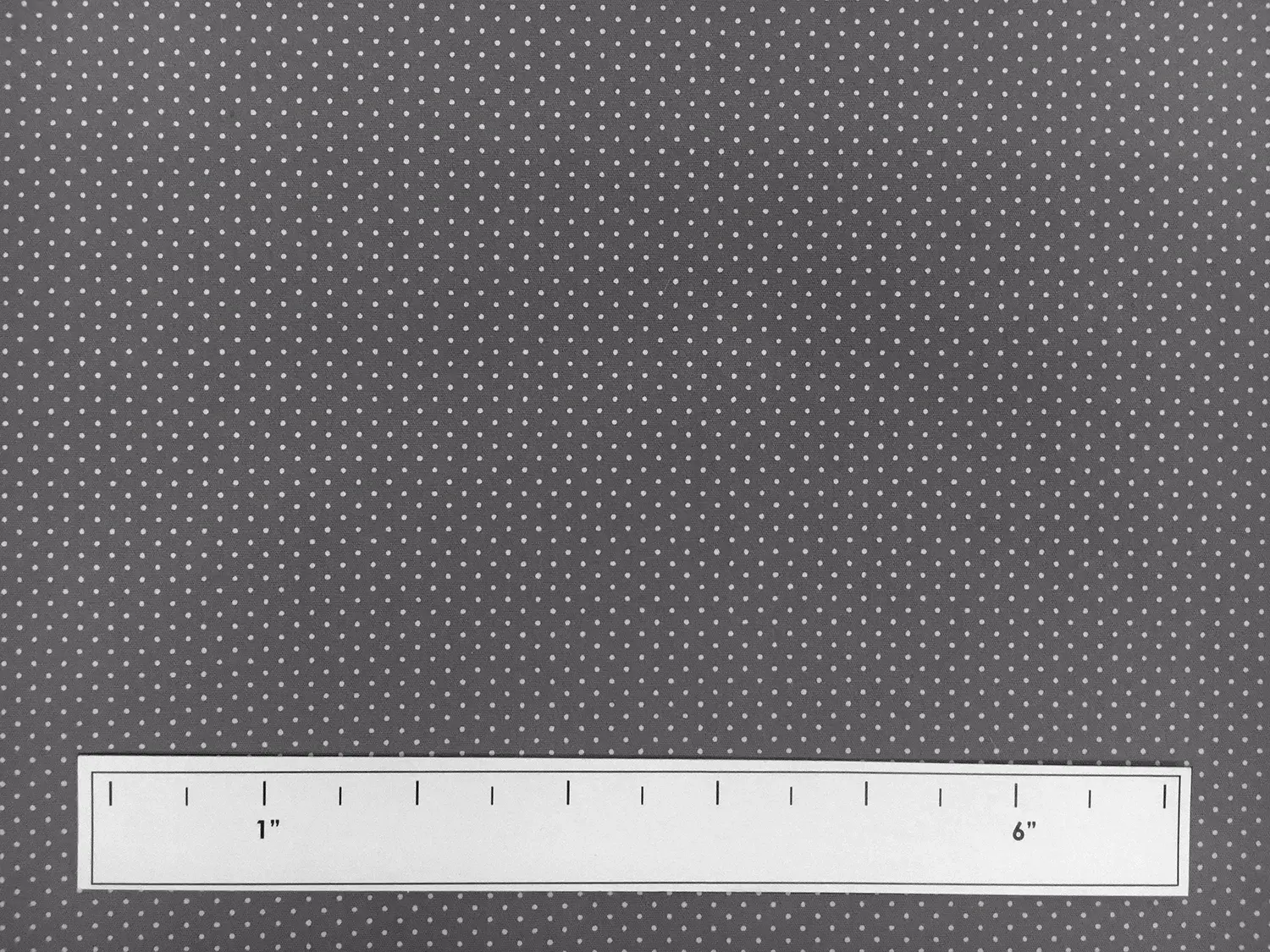 Cotton Broadcloth Petite Dot Print in Grey1