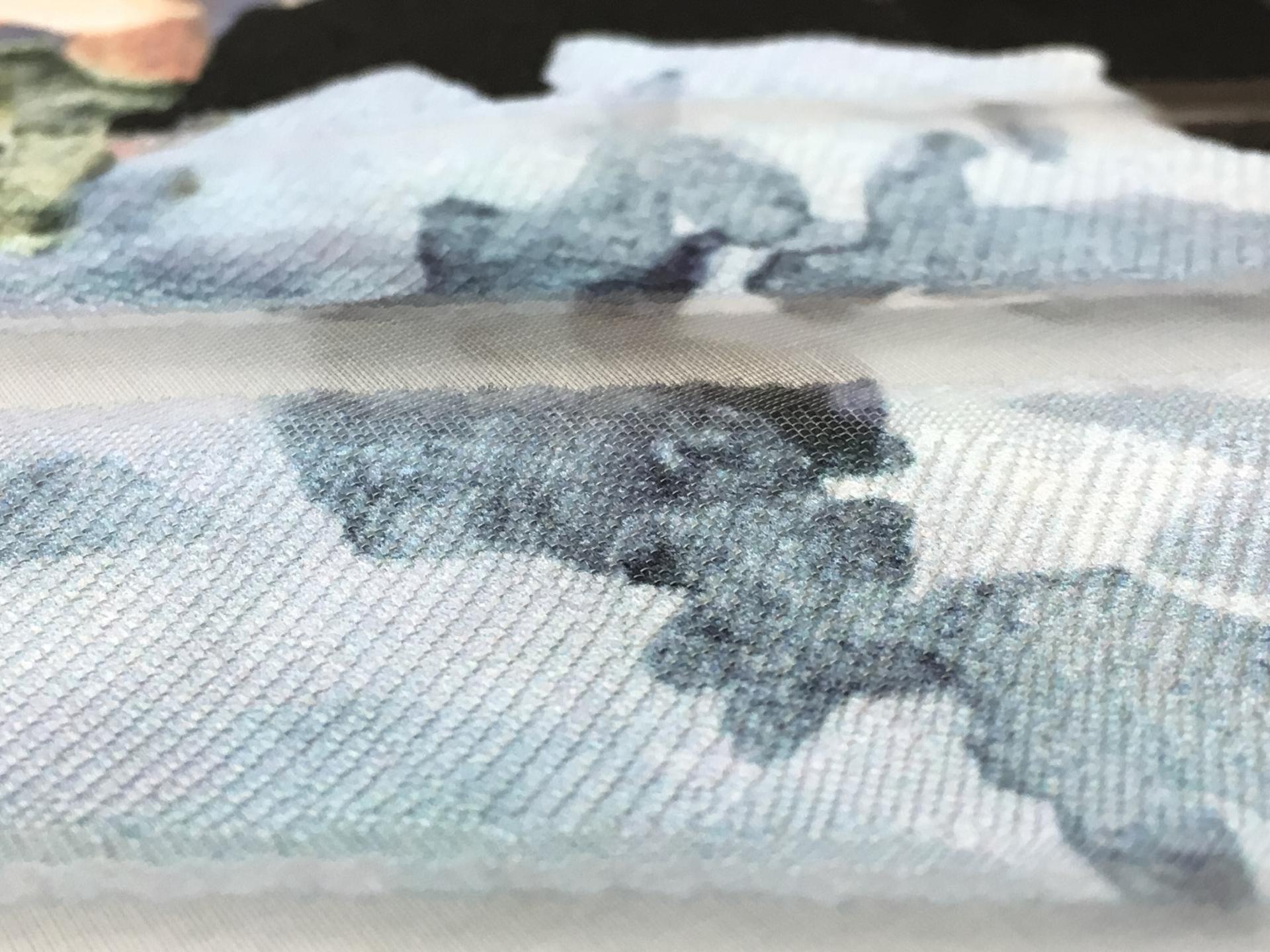 Silk Blend Printed Organza Fil Coupé2