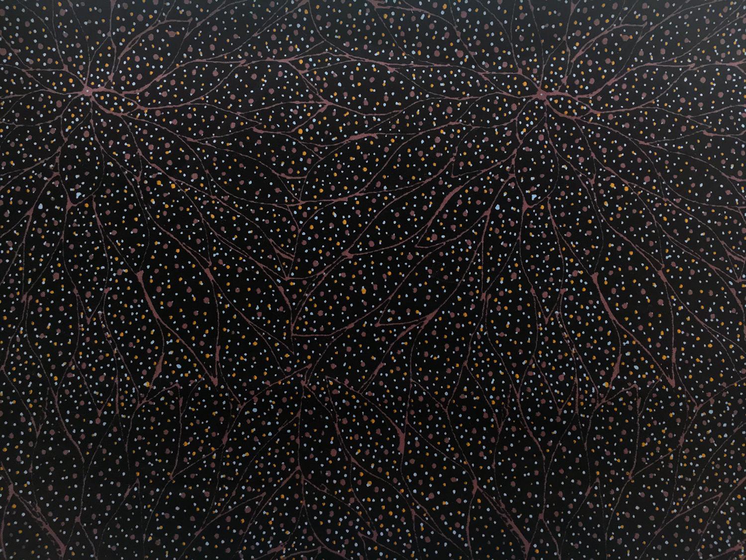 Australian Cotton Print With Aboriginal Motif0