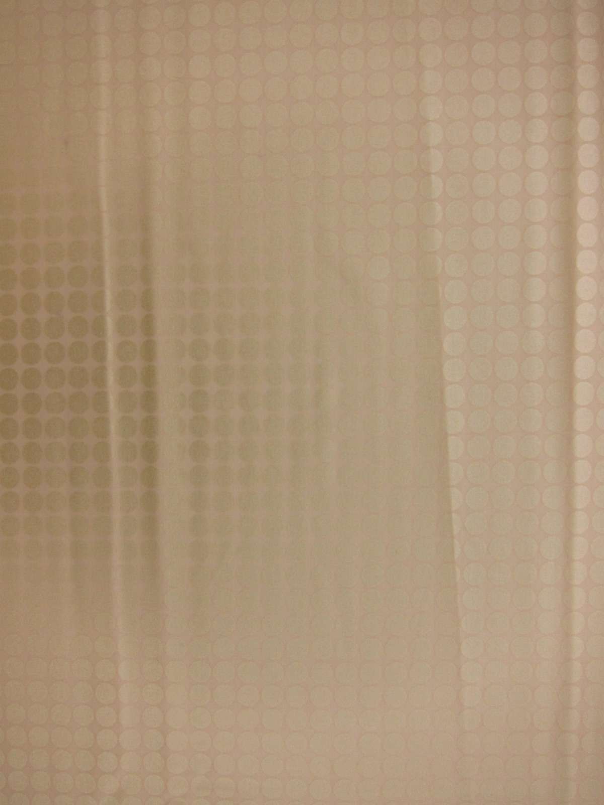 Cotton Broadcloth Print