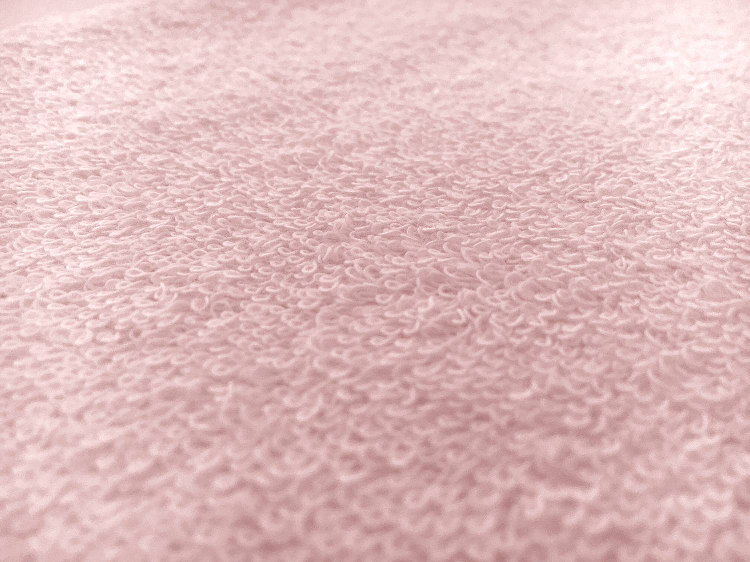 Cotton Terry Velour in Pink3