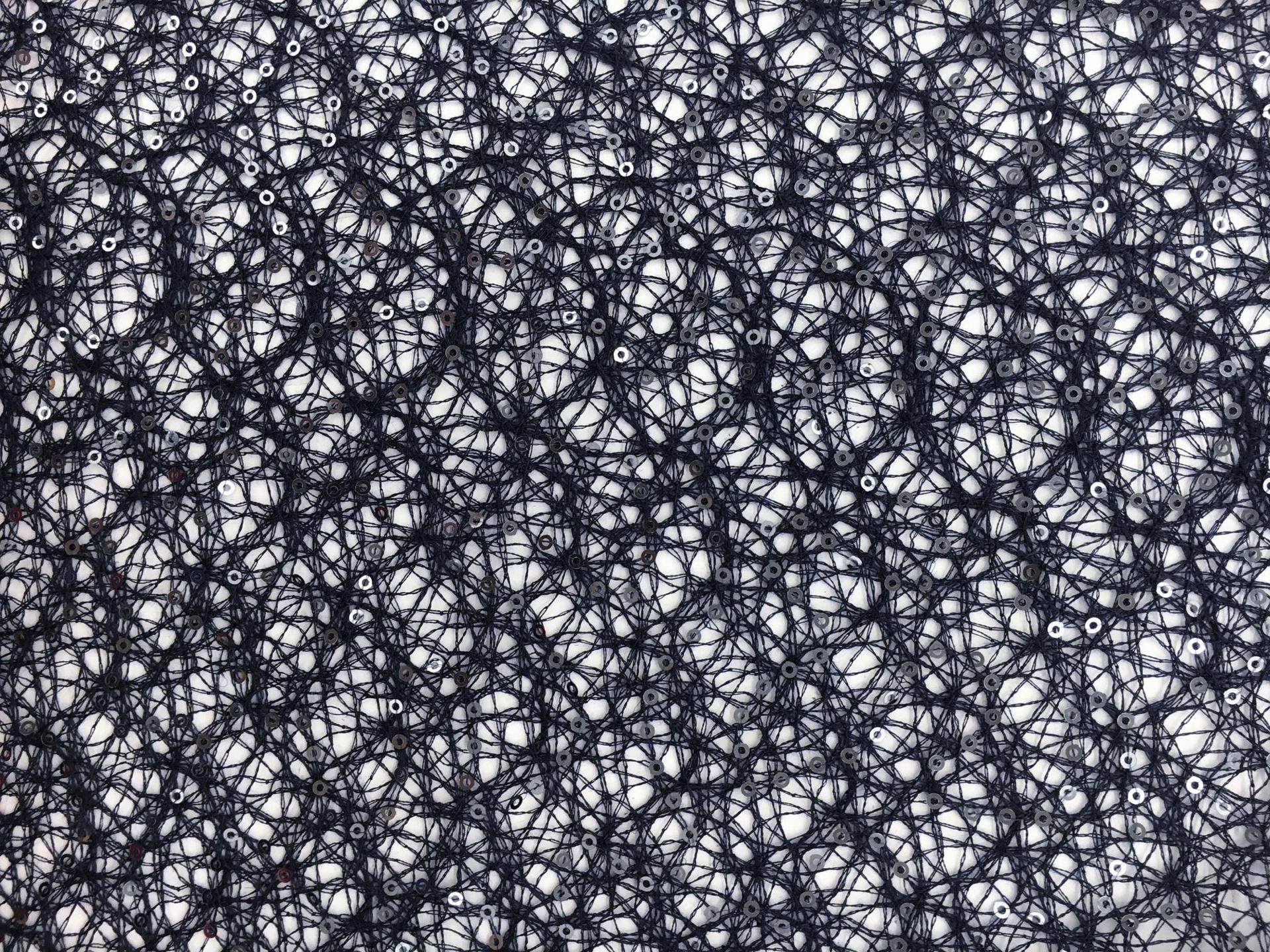 Sequins on Polyester Mesh in Midnight Navy2