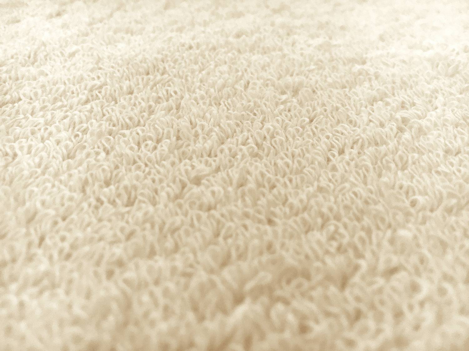 Cotton Terry Velour in Natural3