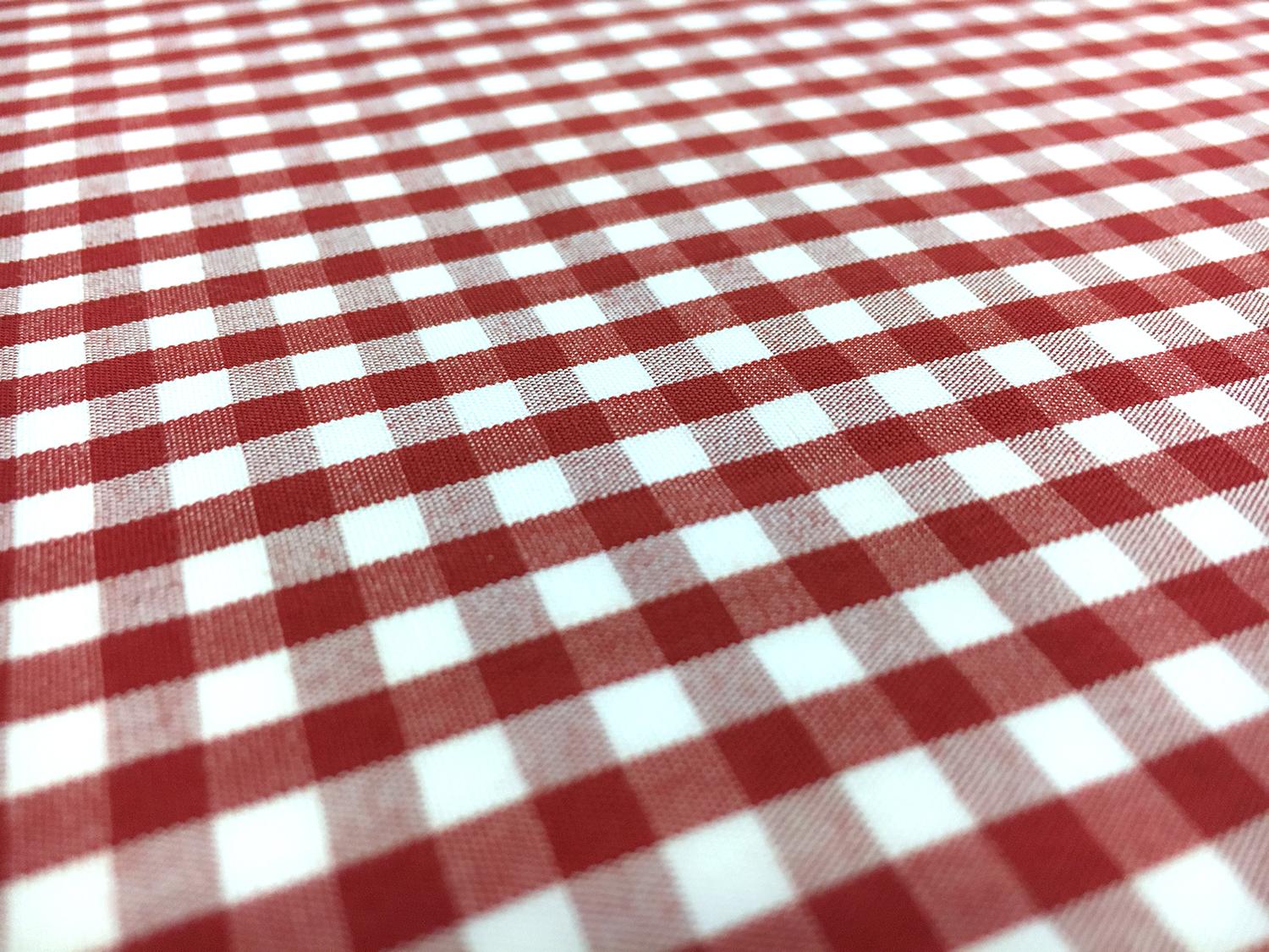 1/4" Cotton Gingham in Red2