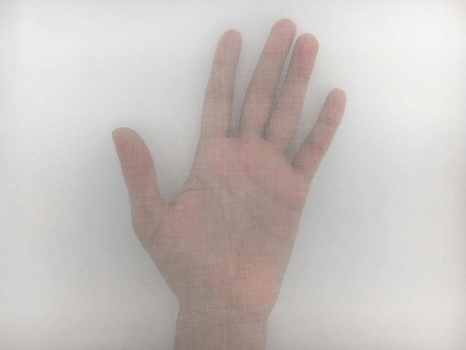 Swiss Cotton Organdy in Powder Blue1