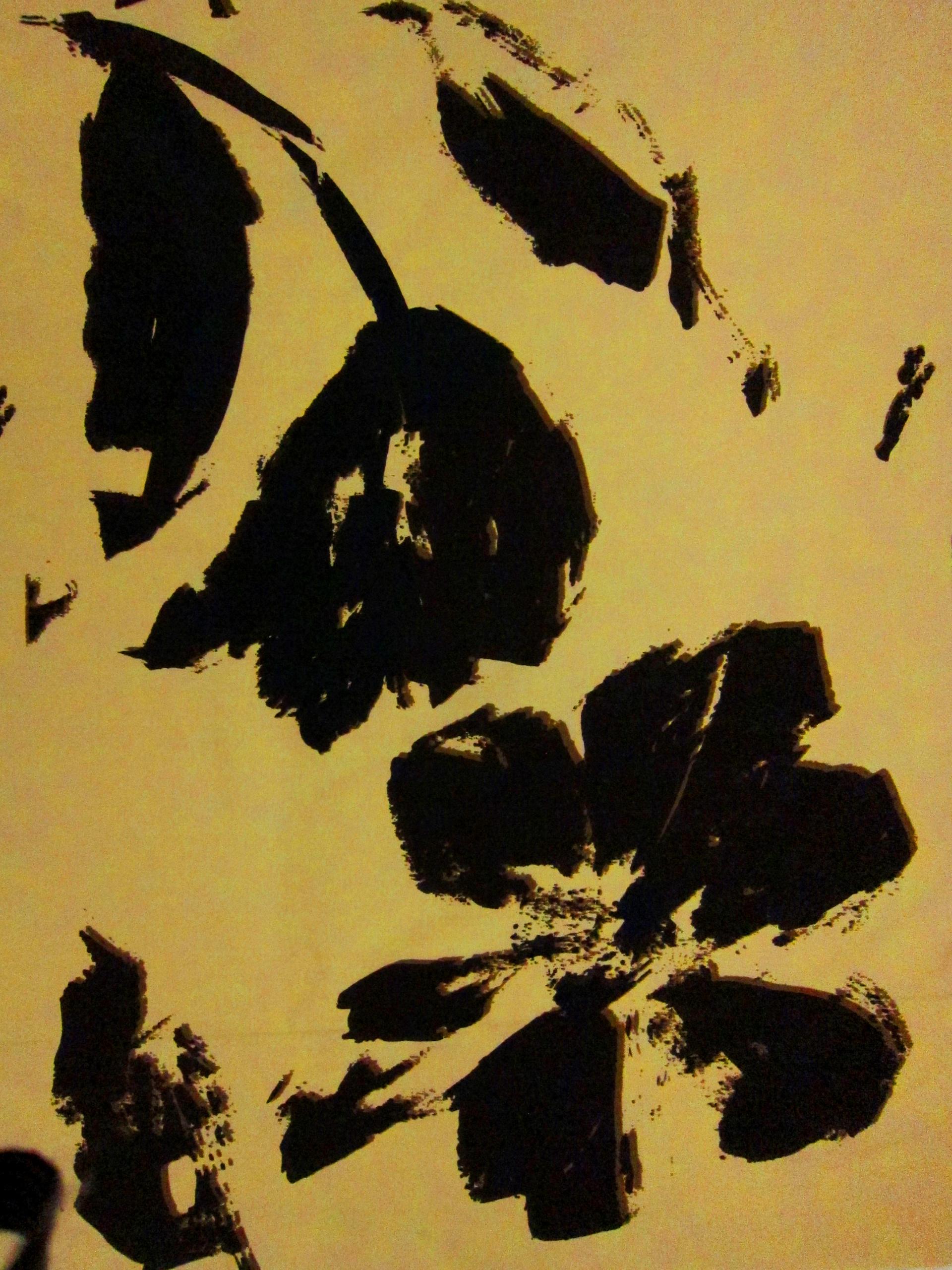 Printed Silk Taffeta0