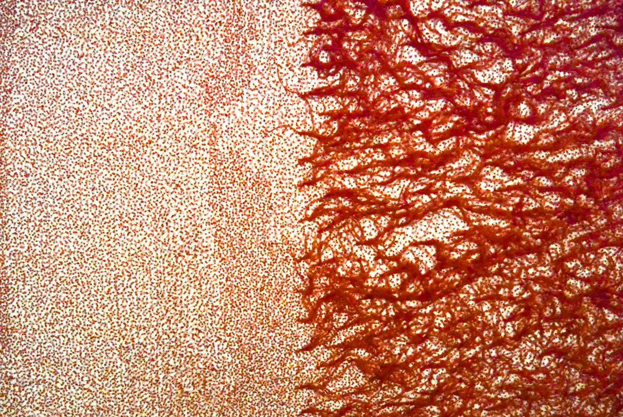 Hand Beaded Illusion With Ostrich Feather Border0