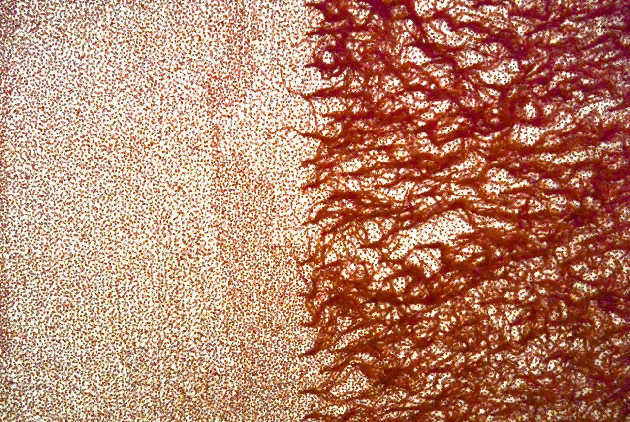 Hand Beaded Illusion With Ostrich Feather Border0